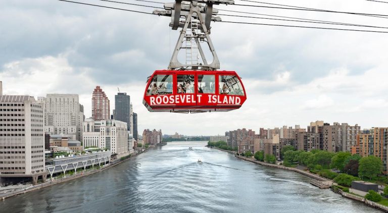 Roosevelt Island Business Alliance Fetes Nancy Brown, Sonal Bhatia