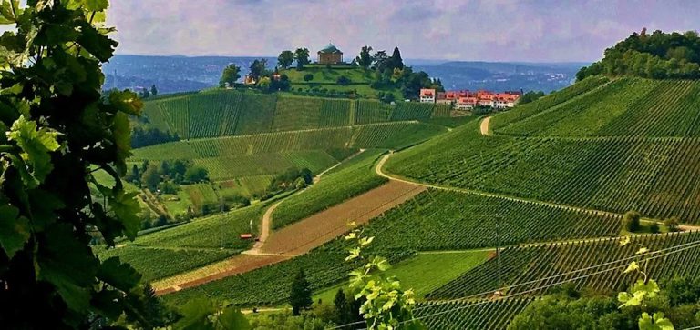 Celebrating Germany: A Nation of Innovation and Cultural Excellence Celebrating Germany: A Nation of Innovation and Cultural Excellence