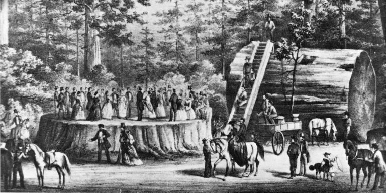 Jim Luce Writes on the West Coast