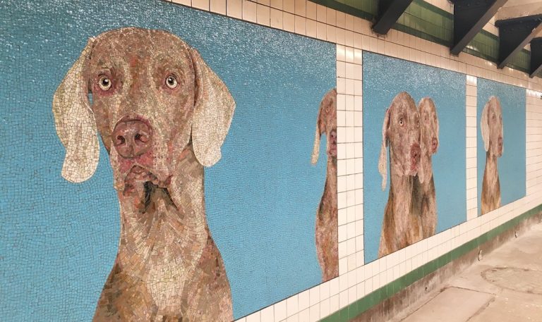 William Wegman and New York’s 23rd Street Subway Station William Wegman and New York’s 23rd Street Subway Station