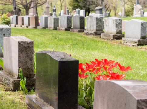 Headstones in a cemetary with many red tulips