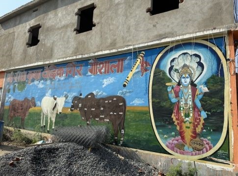 Unique Dairy Farm in Bihar Transforms Cow Products into Health Supplements