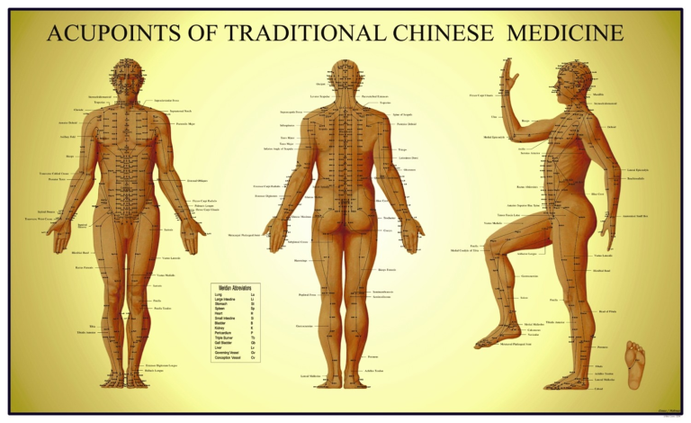 Exploring Chinese Acupuncture