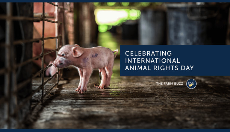 Video: Global Voices for Animals – International Animal Rights Day