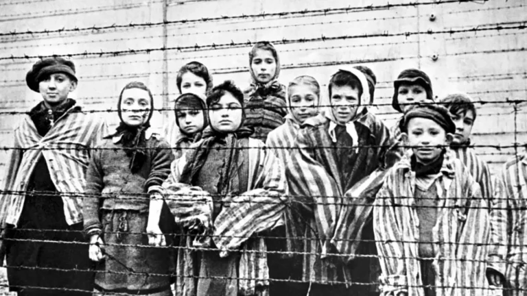 Eighty Years Since Liberation: World Remembers Auschwitz