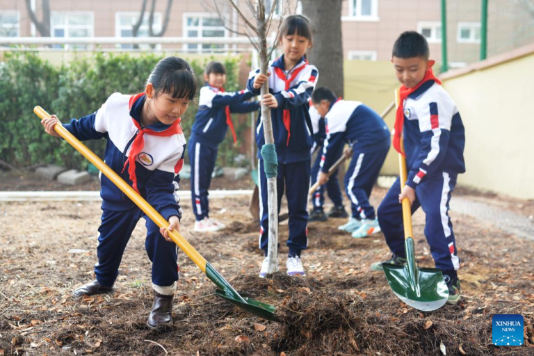 Xinhua: Events Held Across China for National Tree Planting Day