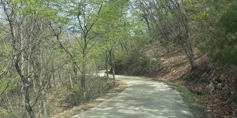 Residents Clash with U.S. Military Over Better Access to Village