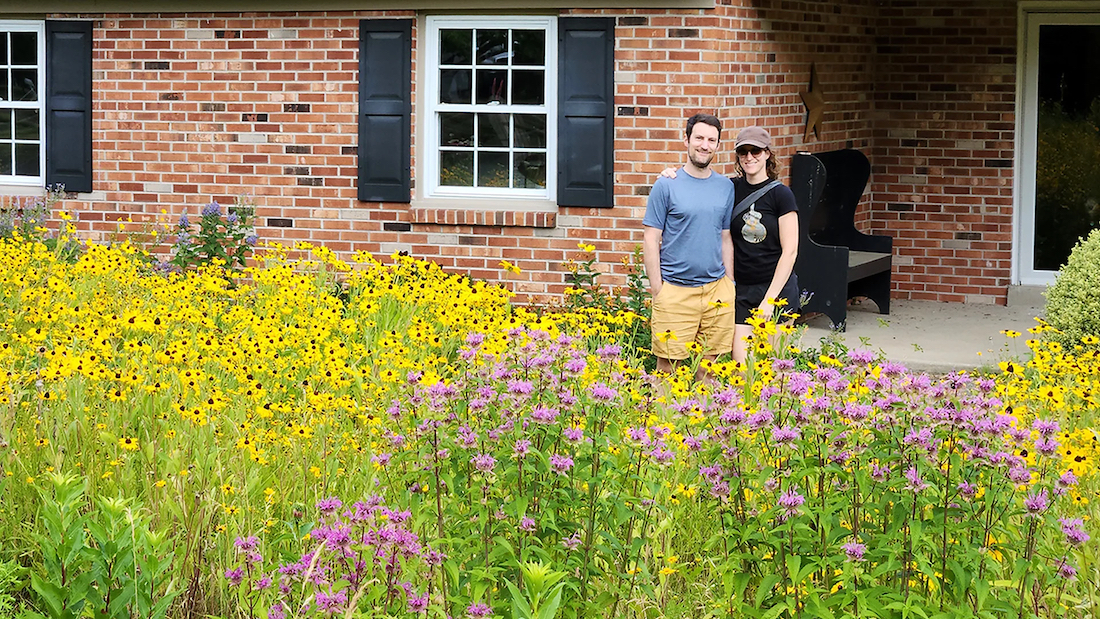 In suburban Vermont, Sarah and Mark Reynolds replaced their half-acre lawn with a mix of milkweed, coneflowers, and clover.