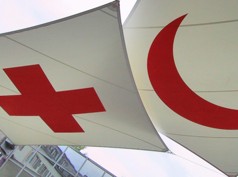 Interview with the Red Cross Secretary General in Geneva