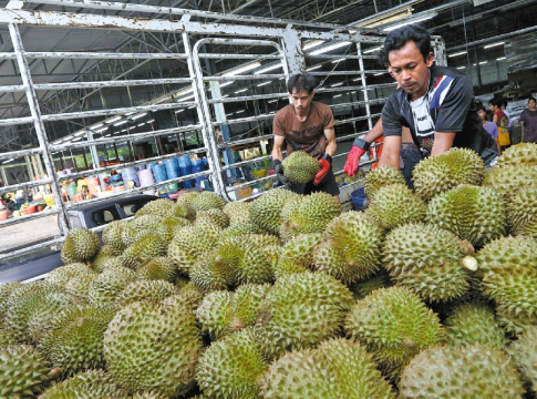 China, Thailand Partner to Modernize Durian Farming for Global Demand
