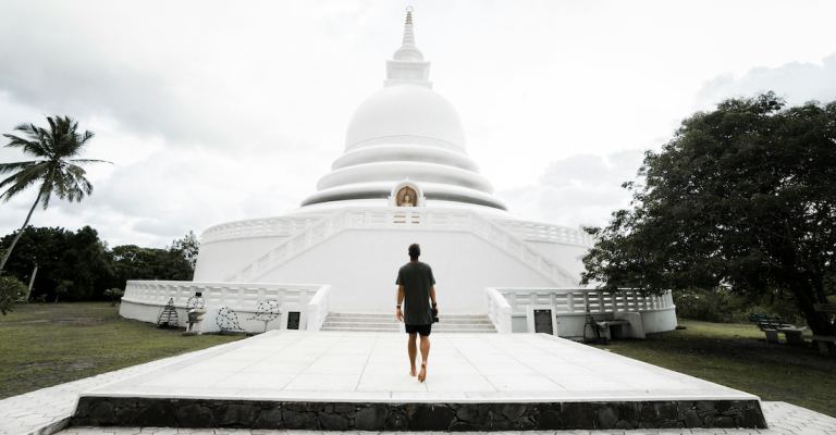 Sri Lanka’s Timeless Tapestry: Elephants, History, Humanity Converge Sri Lanka’s Timeless Tapestry: Elephants, History, Humanity Converge