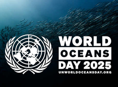 Global Momentum Builds For Ocean Health On 2025 Milestone