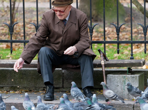A generic geriatric in the park, feeding the pigeons. 