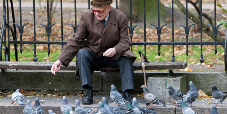A generic geriatric in the park, feeding the pigeons. 
