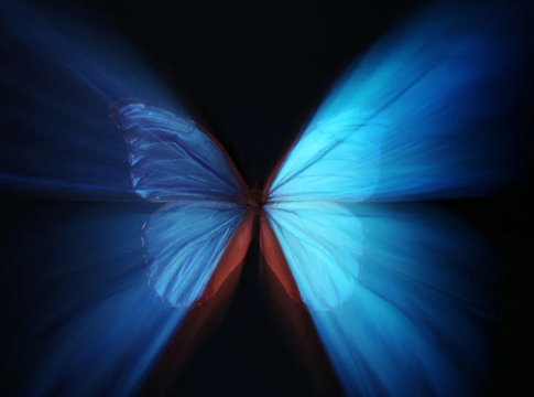 Butterfly Effect of Language: A Writer’s Rebellion Against Elite Speak