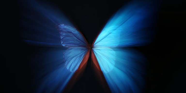 Butterfly Effect of Language: A Writer’s Rebellion Against Elite Speak