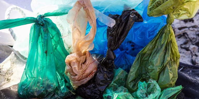 More Than a Million Pet Poop Bags Head to Landfills Every Day