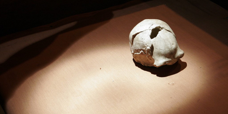 Netherlands Returns Historic “Java Man” Fossils to Indonesia