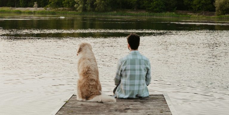 Scientists Learn Golden Retrievers, Owners Share Behavioral Genes