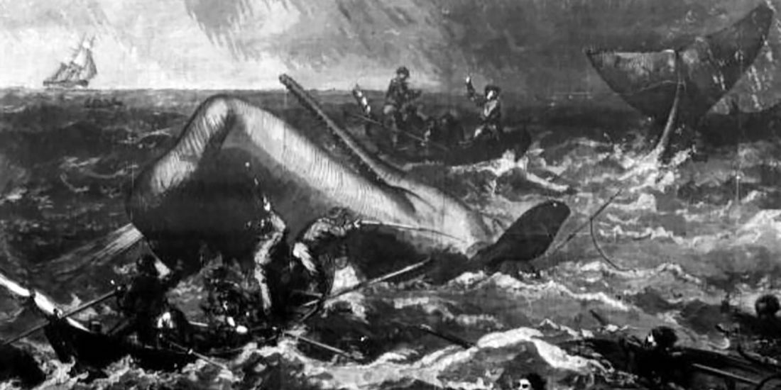 A print of a whaling crew hunting a whale in the 1860s, published Dec. 15, 1866 in Harper’s Weekly.