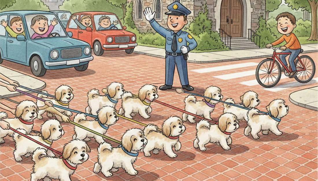 <em>Make Way for Shih Tzu! </em> A New York City Children’s Story